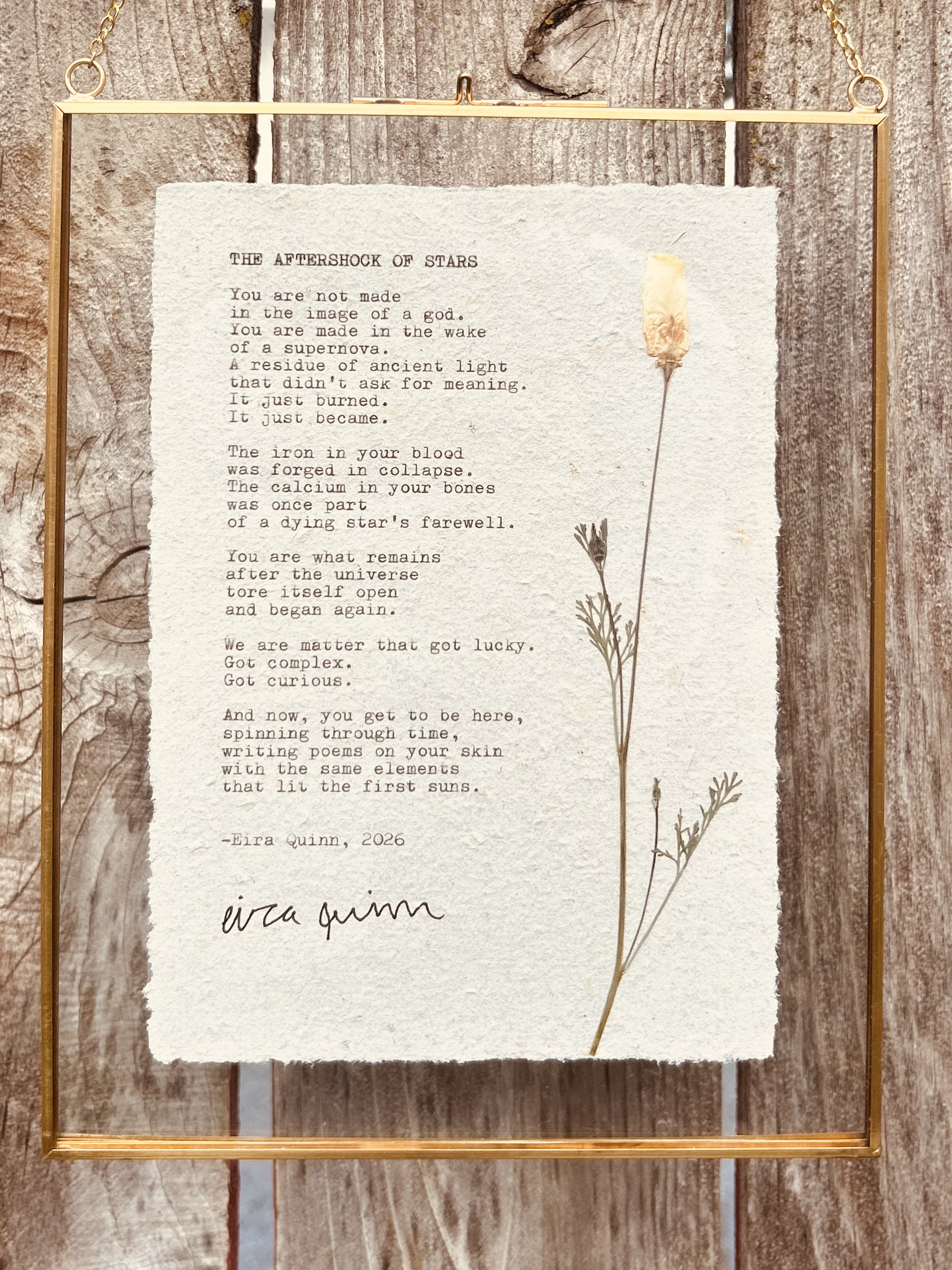 "The Aftershock of Stars" hand-typed on A6 paper with a pressed flower, in a hanging glass frame